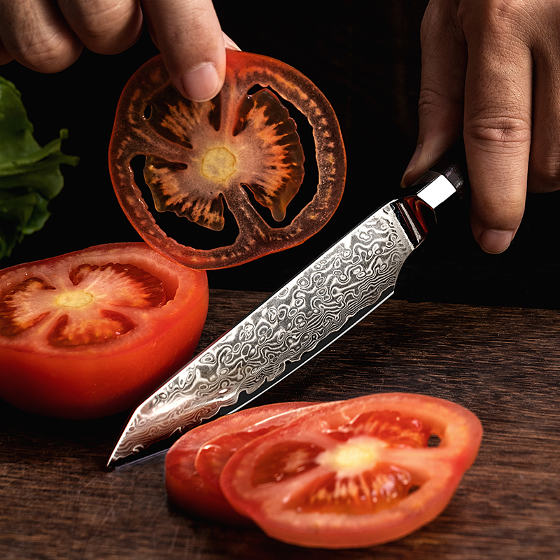Japan-messer.at-japanisches Allzweck Damastmesser Klinge